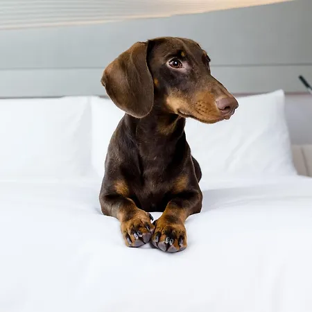 Innside ホテル 4*