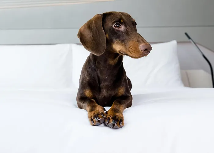 Innside Hotel Zaragoza